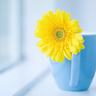 天黑请闭眼